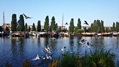 Almere - Photo 4