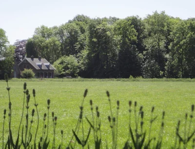 Overveen - Photo 5