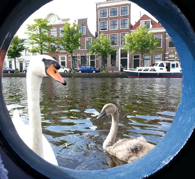 Haarlem - Photo 2