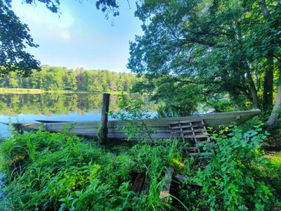 Briesen - Photo 2