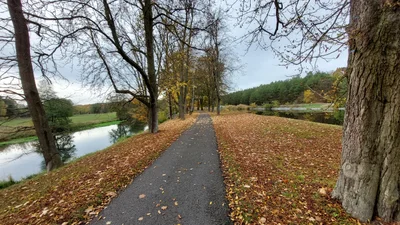 Briesen - Photo 3