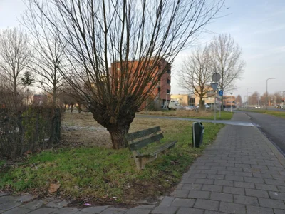 Gouda - Photo 3