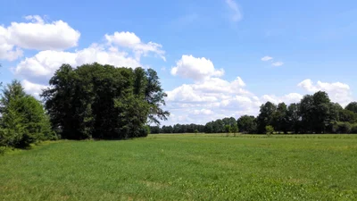 Dissen-Striesow - Photo 3
