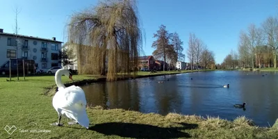 Dordrecht - Photo 3