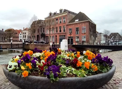 Dordrecht - Photo 4