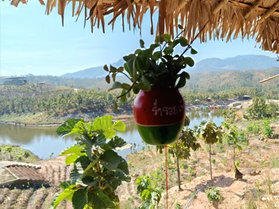 Myawaddy Township - Photo 2