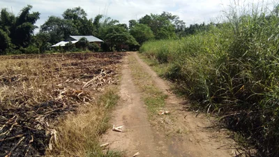 Myawaddy Township - Photo 4