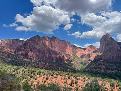 Zion National Park - Photo 5