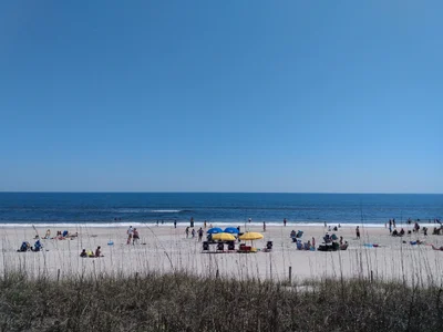 North Carolina Coast - Photo 2