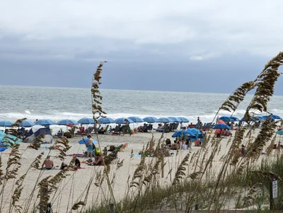 North Carolina Coast - Photo 5