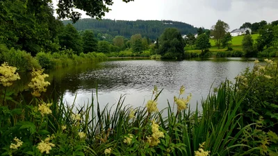 Willingen - Photo 3