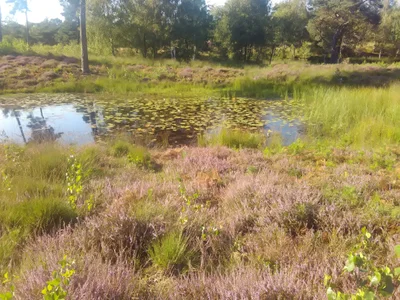 Beegden - Photo 2