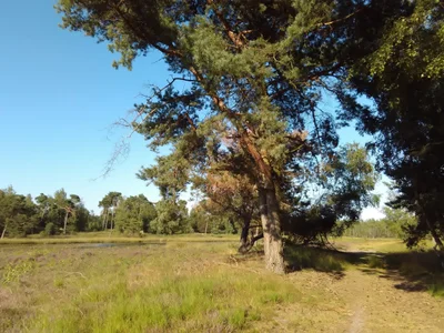 Beegden - Photo 3