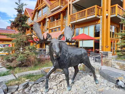 Banff - Photo 2