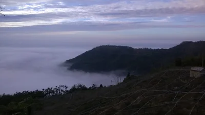 Zhongliao Township - Photo 5