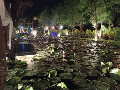 Pingtung - Photo 4