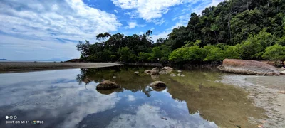 Endau - Photo 2