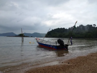 Endau - Photo 5