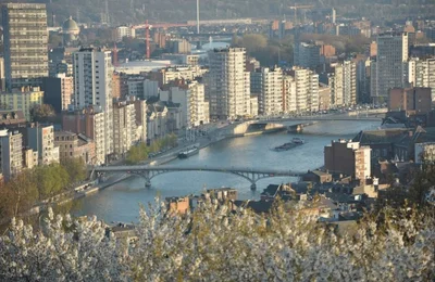Liège - Photo 5