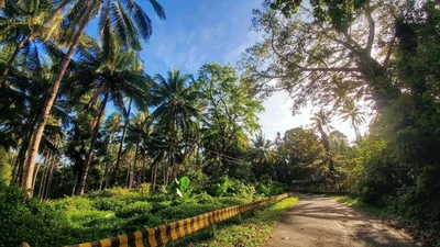 Mambajao - Photo 3