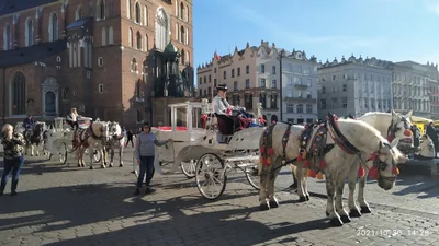Kraków - Photo 4