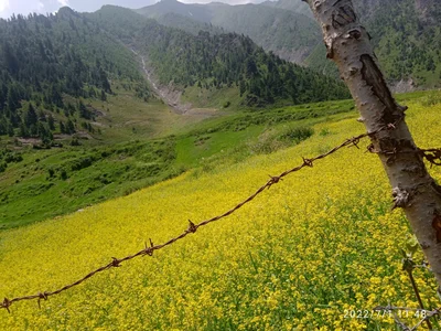 Bandipora - Photo 3