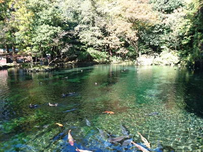 Sano - Photo 4