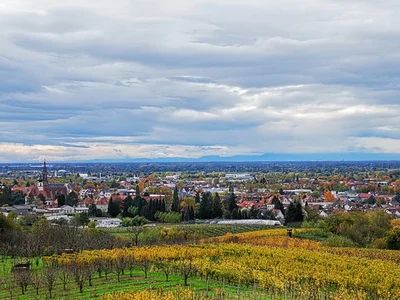 Bühl - Photo 5