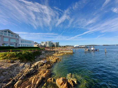 Sidney - Photo 2