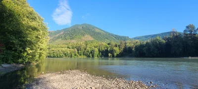 Skagit County - Photo 4