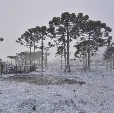 State of Santa Catarina (SC) - Photo 2
