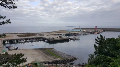 Seogwipo-si - Photo 2