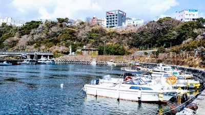 Seogwipo-si - Photo 4