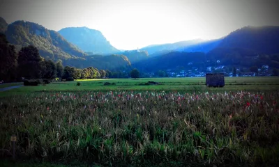 Bad Reichenhall - Photo 3