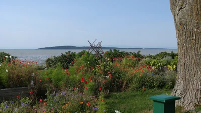 Kamouraska - Photo 3