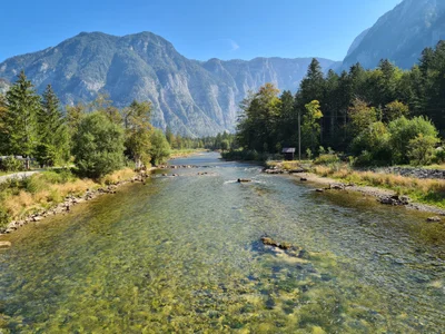 Obertraun - Photo 4