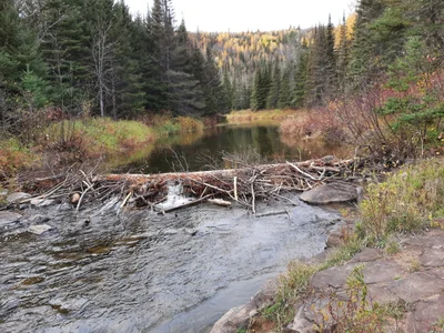 Beaver Bay Township - Photo 2