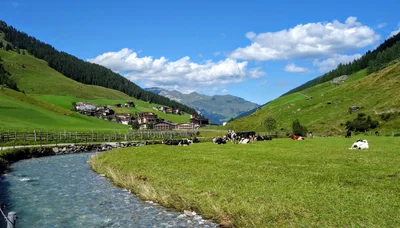 Mayrhofen - Photo 4