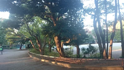 Chiba - Photo 2