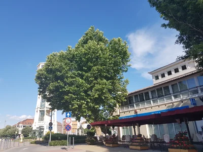 Siófok - Photo 5