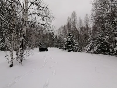 Ferme-Neuve - Photo 3