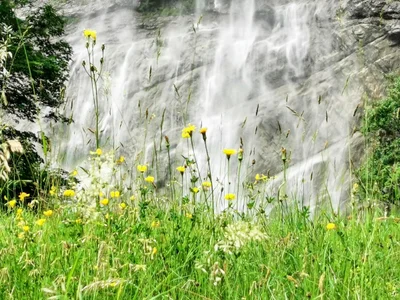 Lauterbrunnen - Photo 2