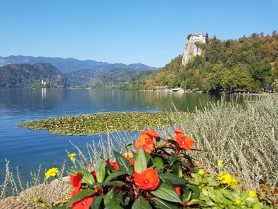 Bled - Photo 2
