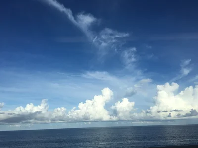 Xiulin - Photo 3