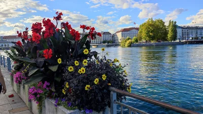 Genève - Photo 3