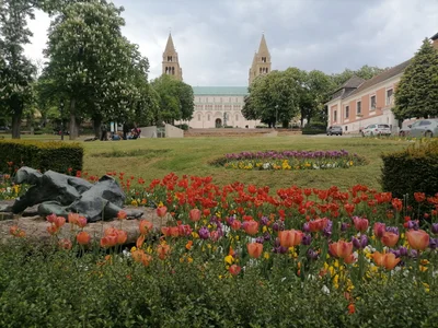 Pécs - Photo 3