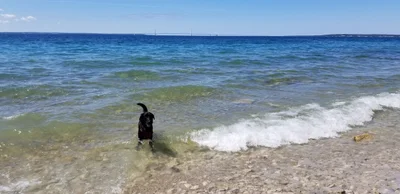 Mackinaw Township - Photo 4