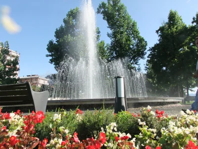Arona - Photo 5