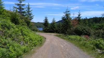 Yamhill County - Photo 2