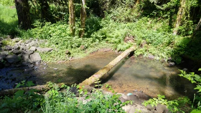 Yamhill County - Photo 3